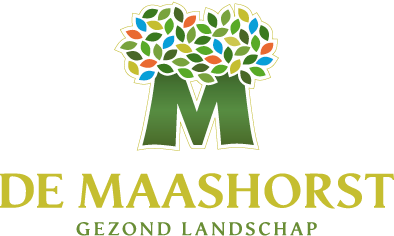 programmabureau De Maashorst in uitvoering 